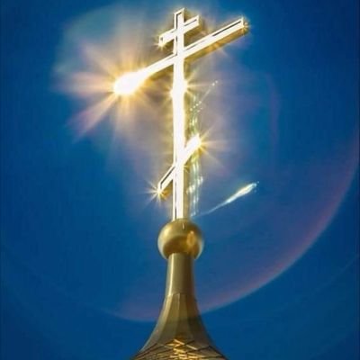 EkaterinaGeorg's profile picture. 