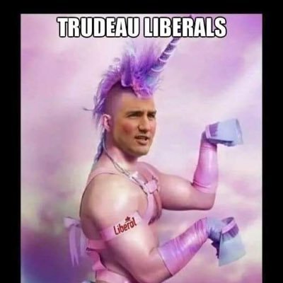 #PedoCastro #LiberalismIsAMentalDisorder #BlackfaceTrudeau Minister of Moist Speaking parody account