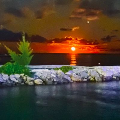 AmareshHombal's profile picture. Radiology. Technology. Investments. Life.