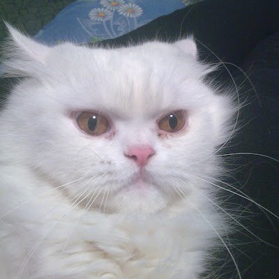 MaksimVnukov2's profile picture. 