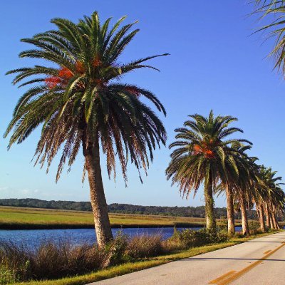 Beach, Bike, and Sunshine is the life I lead along with focus on Natural Healing