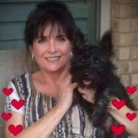 DramaFreeZone (@dramafreezone42) 's Twitter Profile Photo DramaFreeZone (@dramafreezone42) 's Twitter Profile Photo