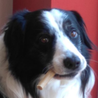 Witty D. Gaster (@witty_username) 's Twitter Profile