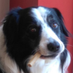 Witty D. Gaster (@witty_username) Twitter profile photo Witty D. Gaster (@witty_username) Twitter profile photo