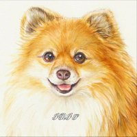 IRIS (@iris_0841) 's Twitter Profile