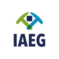 IAEG (@iaeg_ie) 's Twitter Profile