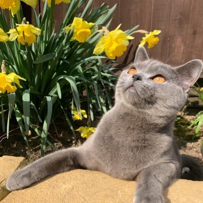 toffee306's profile picture. Beauty and fashion