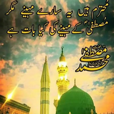 Abdullah219613's profile picture. 