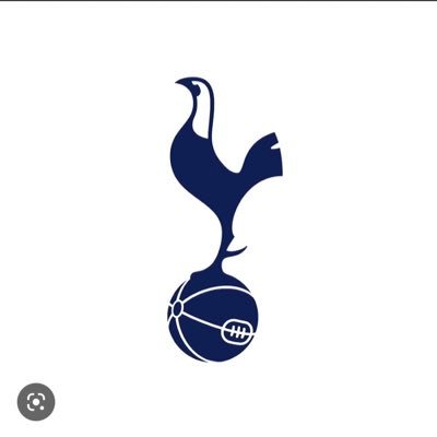 Tottenham Hotspur supporter sharing my thoughts #COYS #ToDareIsToDo #Tottenham #LevyOut #ENICOut