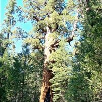 nathanhughes (@nathanhughes) 's Twitter Profile