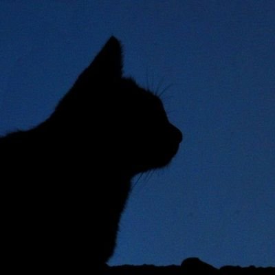 Fluffy_T0ast_'s profile picture. I make poems and art!! - Minor, Basic DNI for now ( includes NSFW/Proshippers) - I dont really post but I'm active ^_^ - Yumeshipper :p