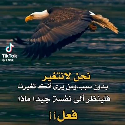 yhyy74317528's profile picture. مرح