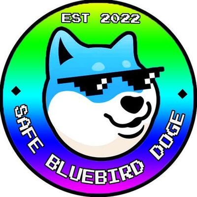 Safe Bluebird Doge (BSC) Profile
