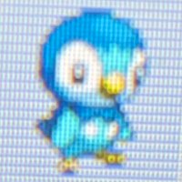 shinypiplup🐥✨(@shiinypiplup) 's Twitter Profile Photo