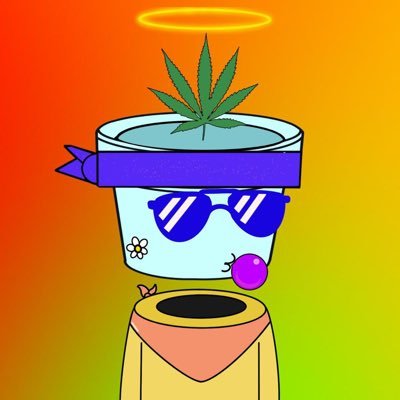 Pot Heads Clubさんのプロフィール画像