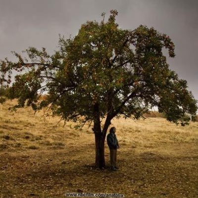 thetagodd's profile picture. hepinizden nefret ediyorum ama tek başıma canım sıkılıyo