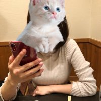S &A 相互鑑賞したい(嫁非公認) (@saswapping) 's Twitter Profile