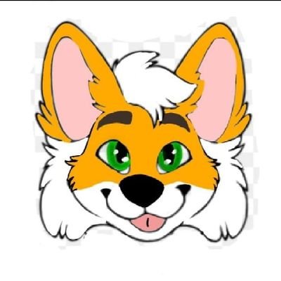 A fox furry who straight my pronouns are he/him I have a yt channel, building custom maps on Minecraft also like fallout 4 a lot, acts casual and friendly