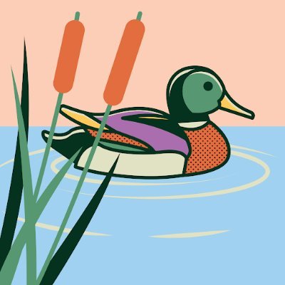 oddDuck 🏴☠️ Profile