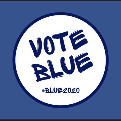 VOTE BLUE - NO MATTER WHO