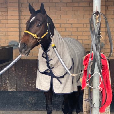 Rischym's profile picture. shop owner love racing n go dees