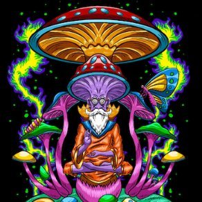 Micólogo Nueva Ciencia // Maestro Fungi // Ayuda apoyo y orientación uso medicinal de Psilocibina // Igual opino del diario vivir! #MushLove 🍄4u