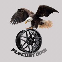 Fly Customs (@fly_customs_1) 's Twitter Profile