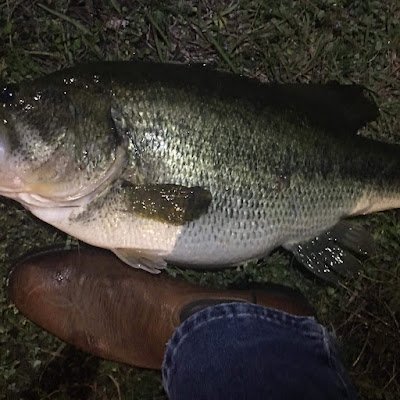 BillyT64NdN's profile picture. 