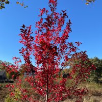 Web 3 Product Builder (@web3wins) 's Twitter Profile