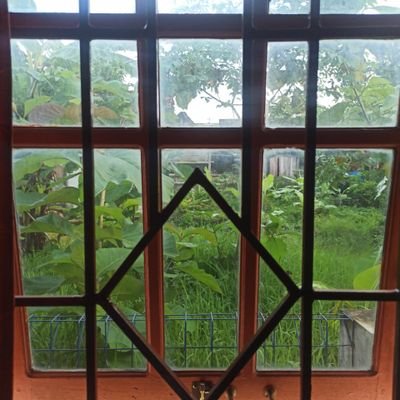 MieTimeToEat's profile picture. bukan apa-apa, cuman ungkapan rasa yang nggak penting