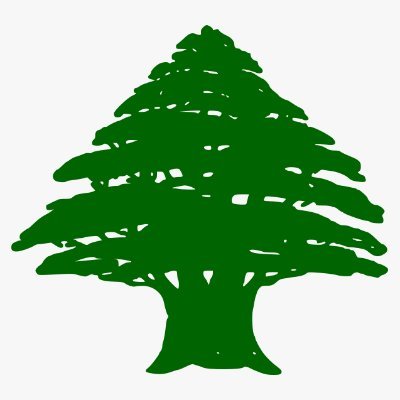 JustLeb's profile picture. لبناني بسيط