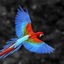 Sylvia Hahn - @SylviaHahn1 - Twitter