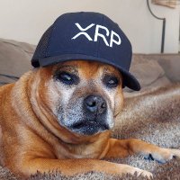 Jeffrey XRP(@JeffreyRuesga) 's Twitter Profile Photo