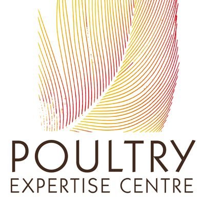 Innovation, knowledge transfer and practical research in the poultry sector🐔