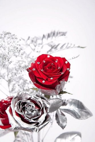 MetallicFlowers's profile picture. A high-end, online floral company offering fresh or silk flowers. Home of our signature styled Iced Flowers and The Metallic Proposal!
