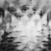 Mira (@skiae_) Twitter profile photo Mira (@skiae_) Twitter profile photo