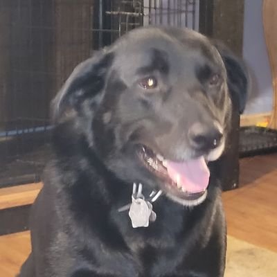 VlastuinJason's profile picture. 