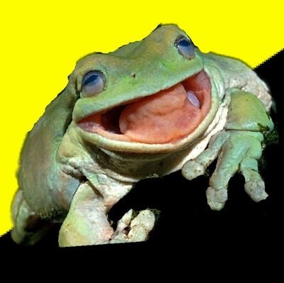 thebigfrogg23's profile picture. 