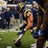 schreiber_joe's profile image