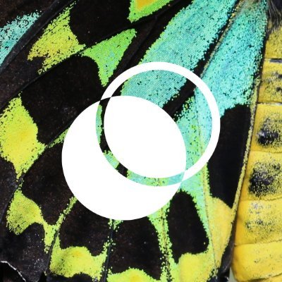 WePlanet Australia Profile