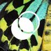 WePlanet Australia (@weplanetaus) Twitter profile photo WePlanet Australia (@weplanetaus) Twitter profile photo