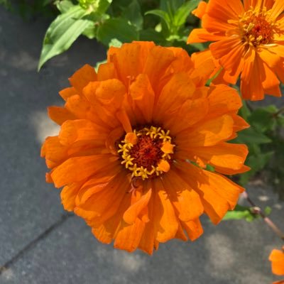 CeilieMae's profile picture. What did you just say!?