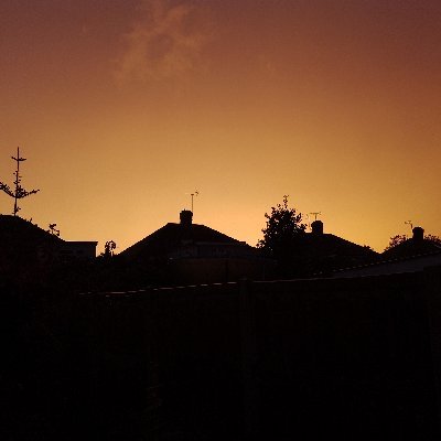 Zoe46995202's profile picture. Just asking