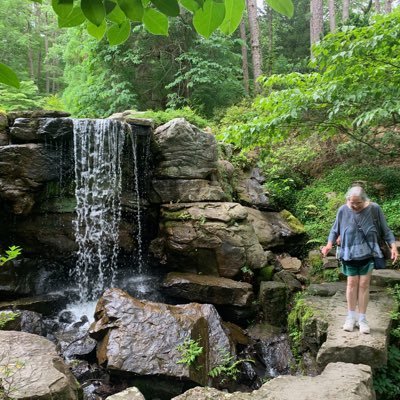 Living in the rain forest of Appalachia.