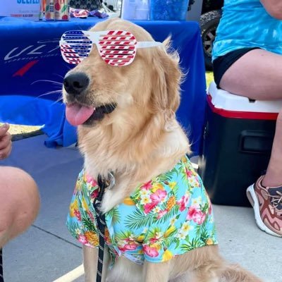 BeepBeepXRPJeep's profile picture. Molan Labe Bitches!