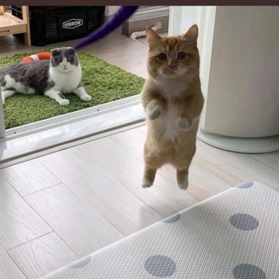 Dropshippers3's profile picture. plus active sur GABY 1