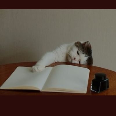 paneerpatties's profile picture. No double standards. No vote-bank politics. Just pure nationalism.