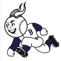 Bryan Viking Baseball (@bhighbaseball) 's Twitter Profile