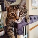 Bonnie Webb - @Bonitawebb118 - Twitter