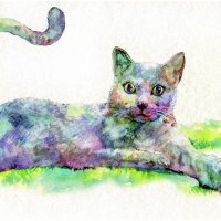 こあら (@tomatomottomato) 's Twitter Profile Photo こあら (@tomatomottomato) 's Twitter Profile Photo